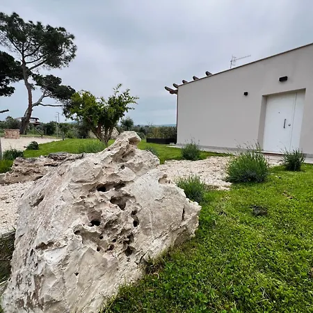 Torre Menerva * Viterbe
