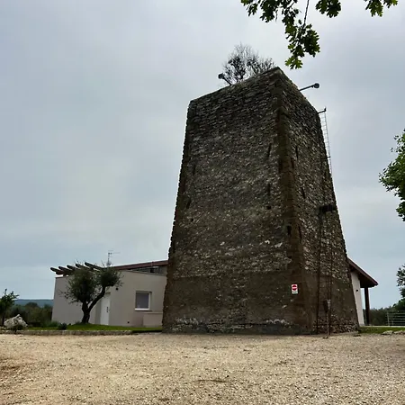 Torre Menerva Piscina & Privata Villa Viterbo