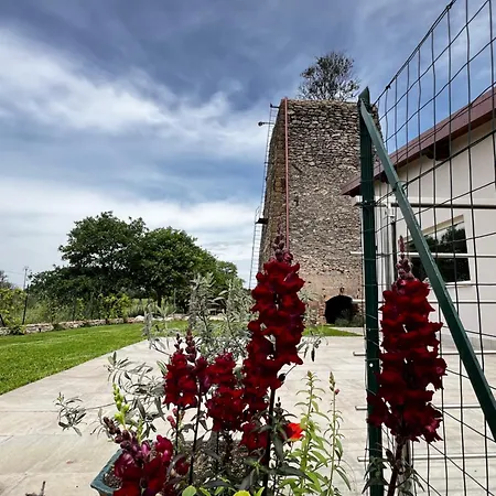 Torre Menerva Viterbe